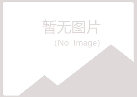 日照岚山问雁水泥有限公司